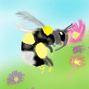Busy, Buzzy, Fuzzy, Bumble Bee