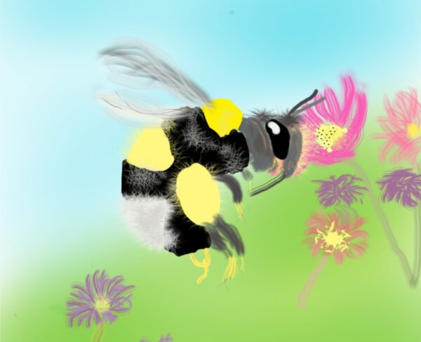 Busy, Buzzy, Fuzzy, Bumble Bee